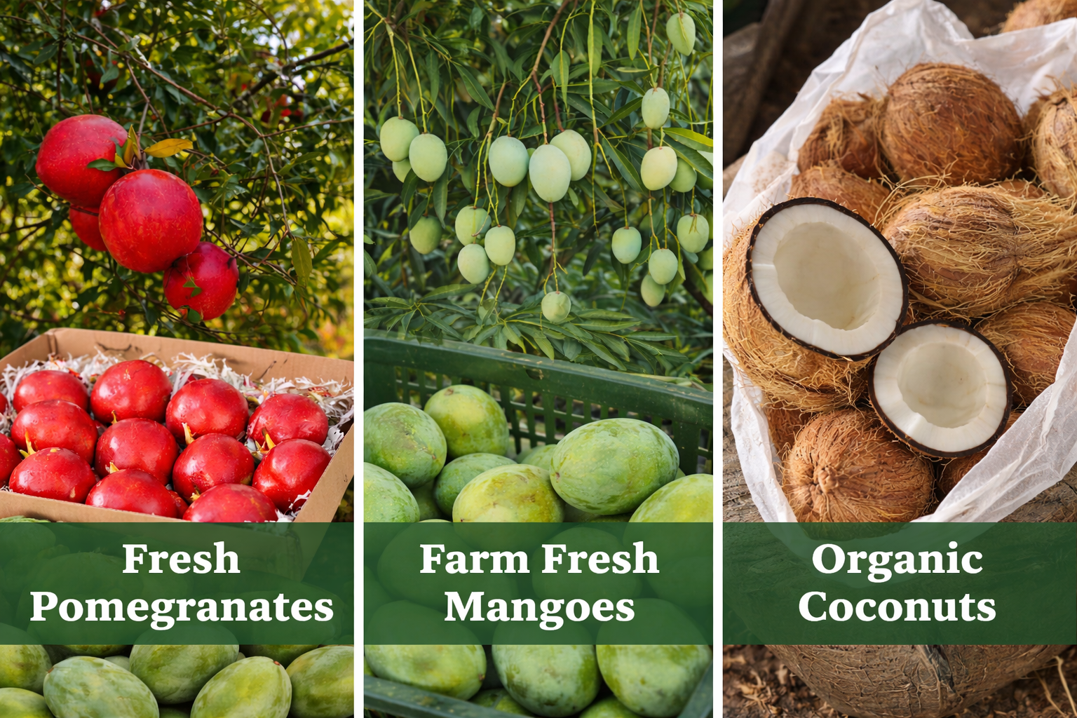 ChatGPT Image Jan 20, 2026, 01_23_28 PM