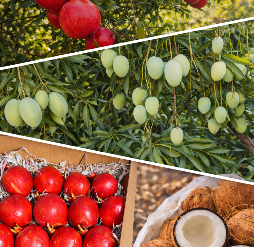 ChatGPT Image Jan 20, 2026, 12_44_50 PM