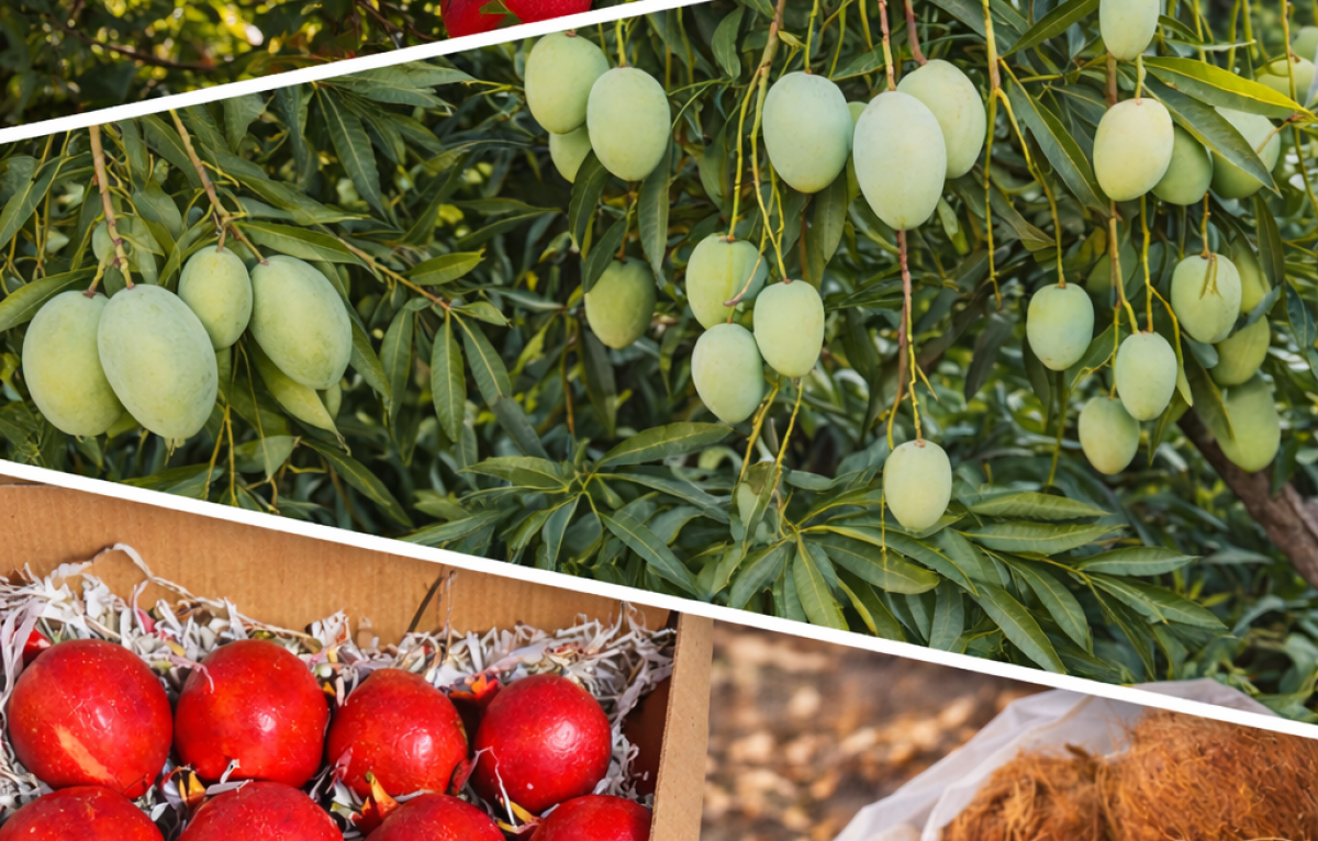 ChatGPT Image Jan 20, 2026, 12_44_50 PM