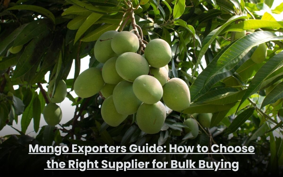 Fresh export-quality mangoes packed for bulk supply by trusted mango exporters