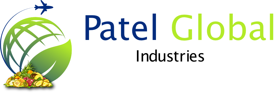 patelglobalindustries.com