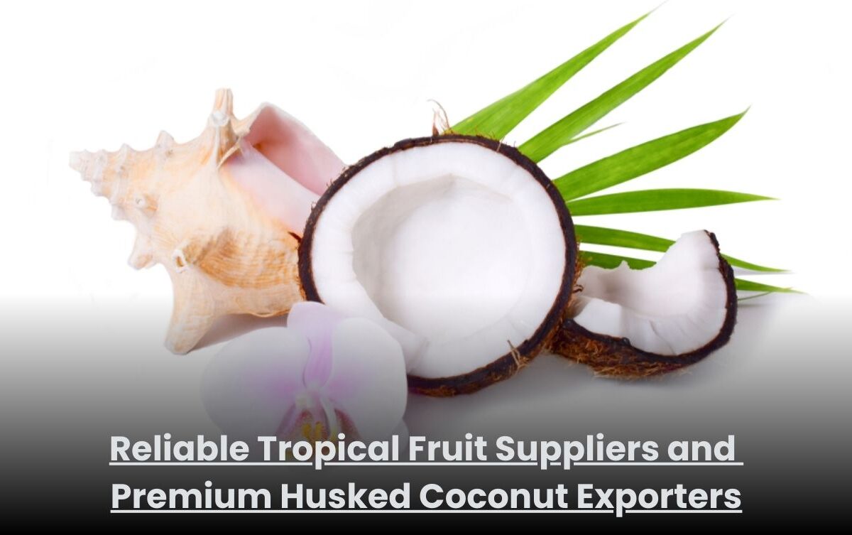 Premium husked coconuts ready for export by trusted tropical fruit suppliers