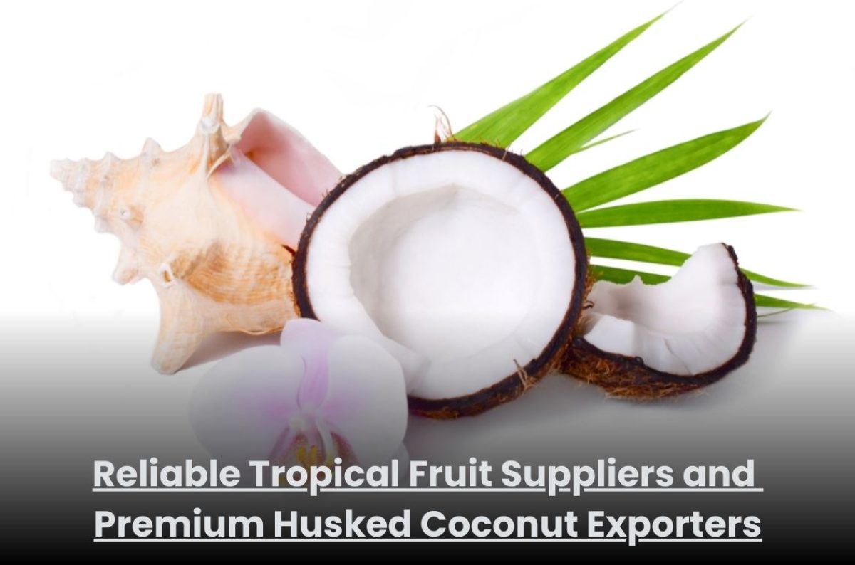 Reliable Tropical Fruit Suppliers and Premium Husked Coconut Exporters Premium husked coconuts ready for export by trusted tropical fruit suppliers