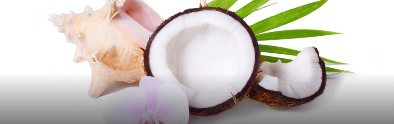 Premium husked coconuts ready for export by trusted tropical fruit suppliers