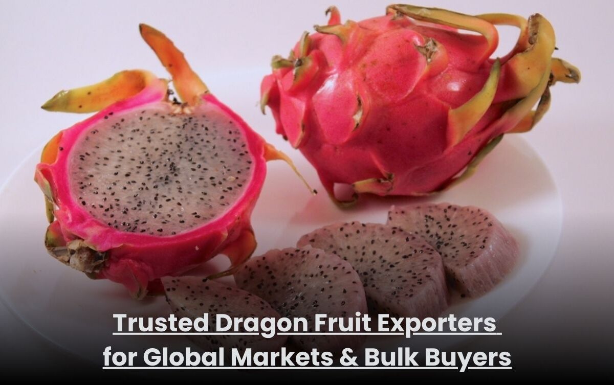 Fresh dragon fruit packed for bulk export by trusted exporters