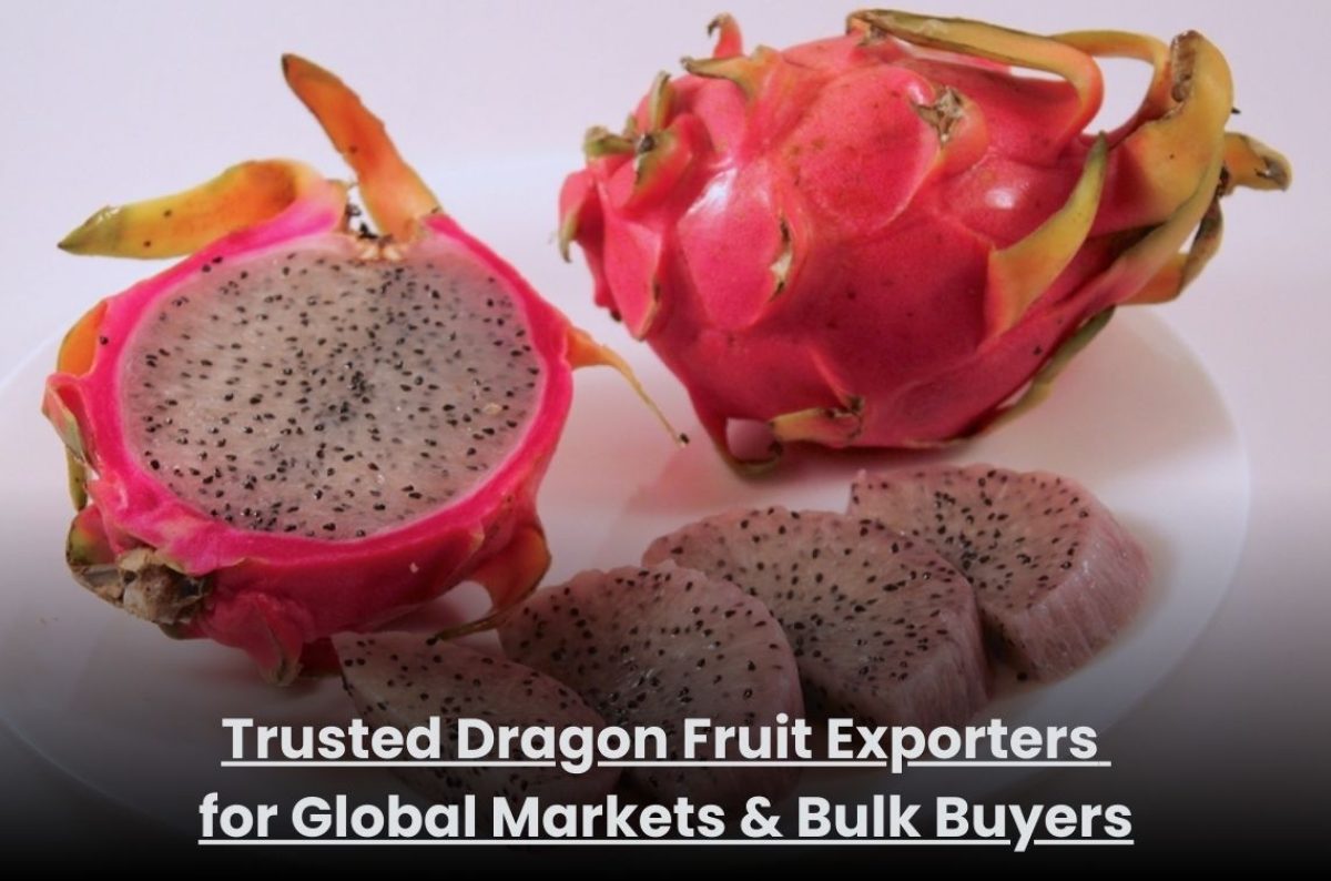 Trusted Dragon Fruit Exporters for Global Markets & Bulk Buyers Fresh dragon fruit packed for bulk export by trusted exporters
