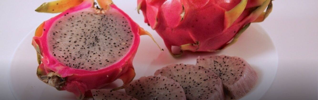 Fresh dragon fruit packed for bulk export by trusted exporters